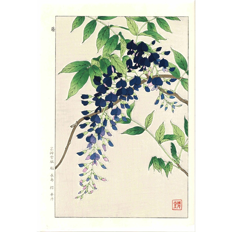 Kawarazaki Shodo – F113 Fuji (Wisteria) – Free Shipping