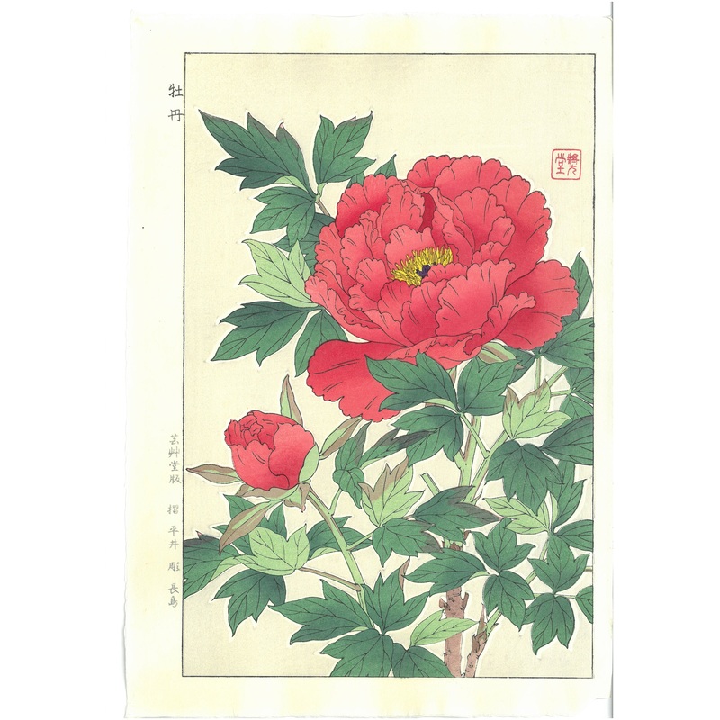 Kawarazaki Shodo – F11 Botan ( Peony) – Free Shipping