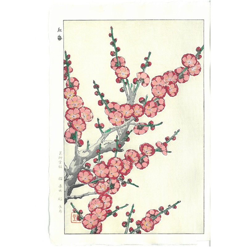 Kawarazaki Shodo – F22 Kobai (Red Plum)  – Free Shipping