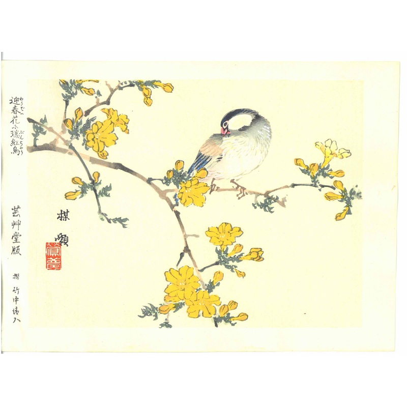 Kono Bairei  – Buncho  – Free Shipping