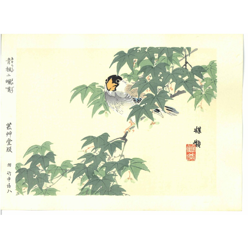 Kono Bairei  – Mamedori – Free Shipping