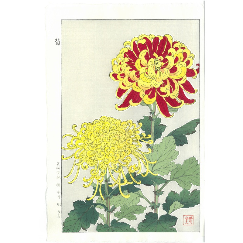 Kawarazaki Shodo – F032 Kiku (Chrysanthemum)  – Free Shipping