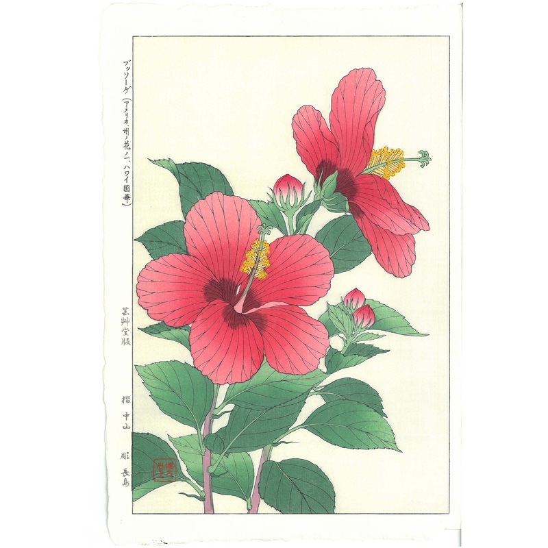 Kawarazaki Shodo – F086  Hibiscus  – Free Shipping
