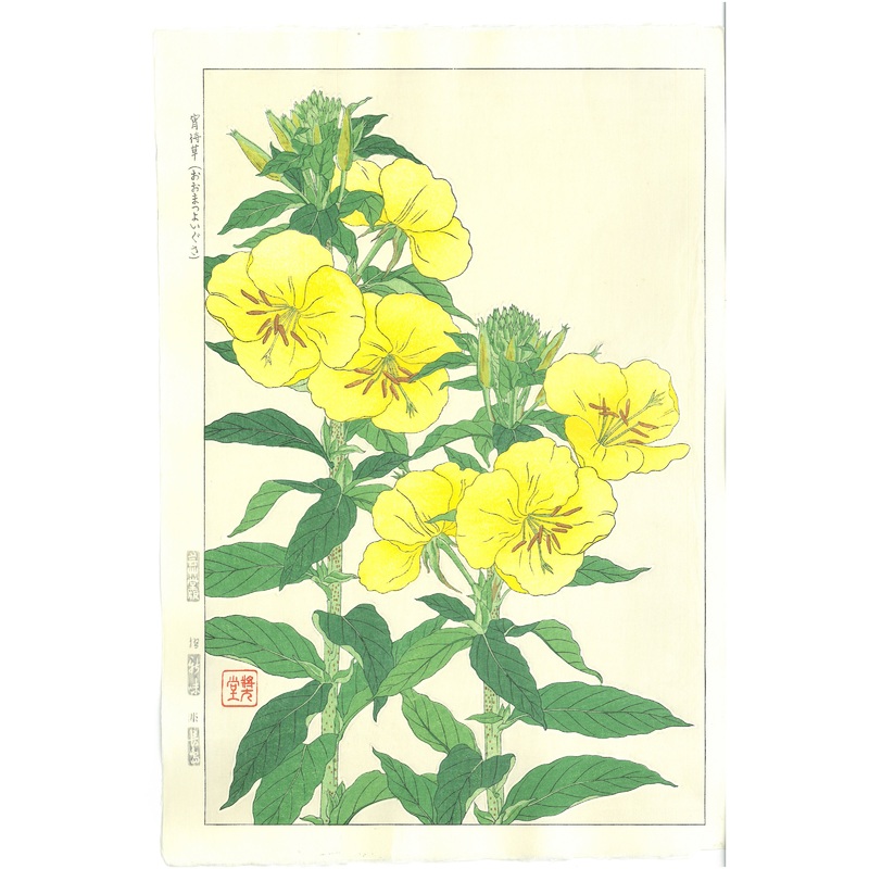 Kawarazaki Shodo – F133  Yoimachigusa – Free Shipping