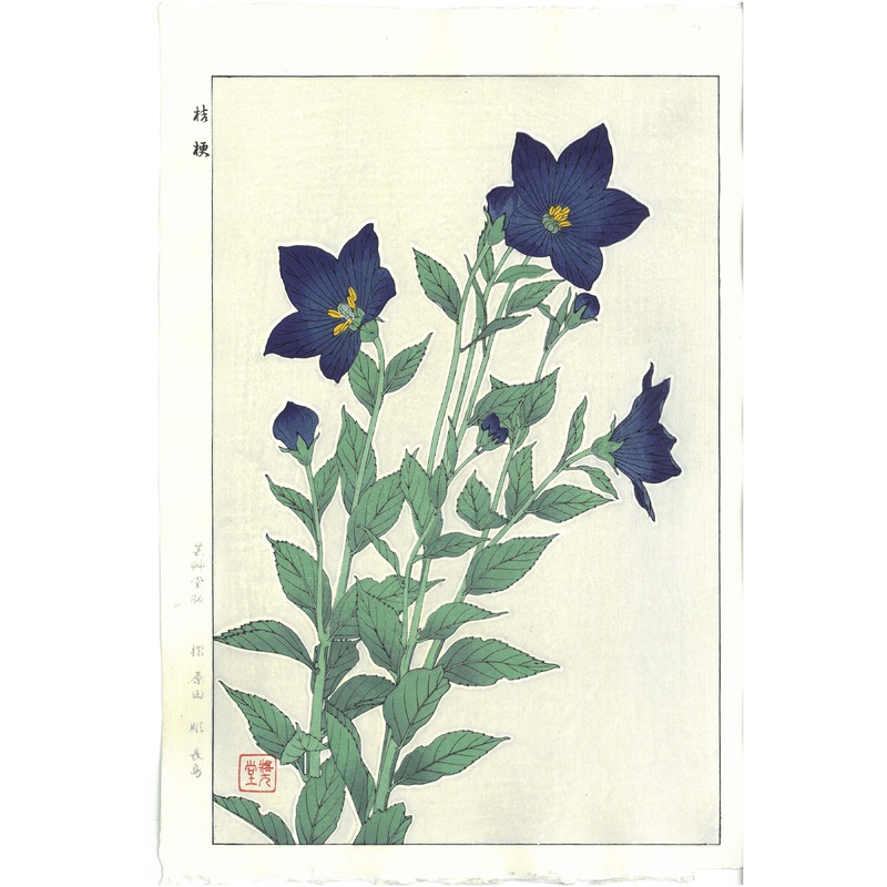 Kawarazaki Shodo – F47 Kikyo (Bell-flower) – Free Shipping