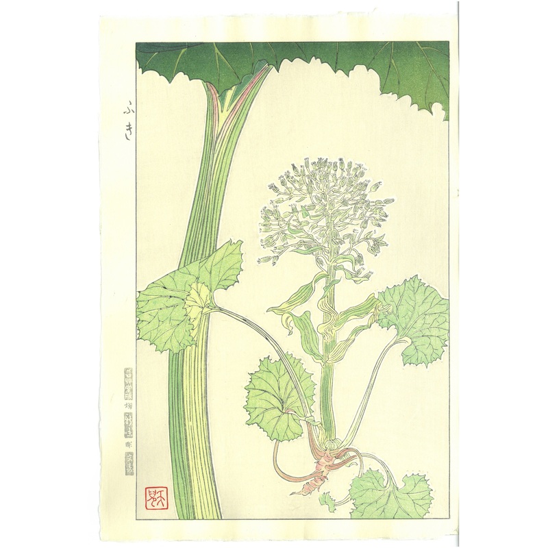 Kuzuhara Teru – F145 Fuki  (Butterbur) –  Free Shipping