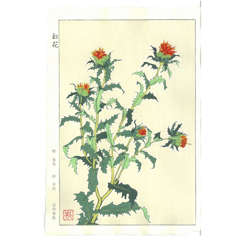 Kuzuhara Teru – F146 Benibana   (Safflower) –  Free Shipping