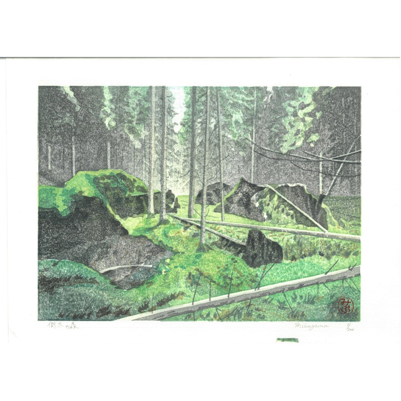 Mibugawa Junichi – Toboku no Mori  (Forest of fallen trees)  ()  – Free Shipping