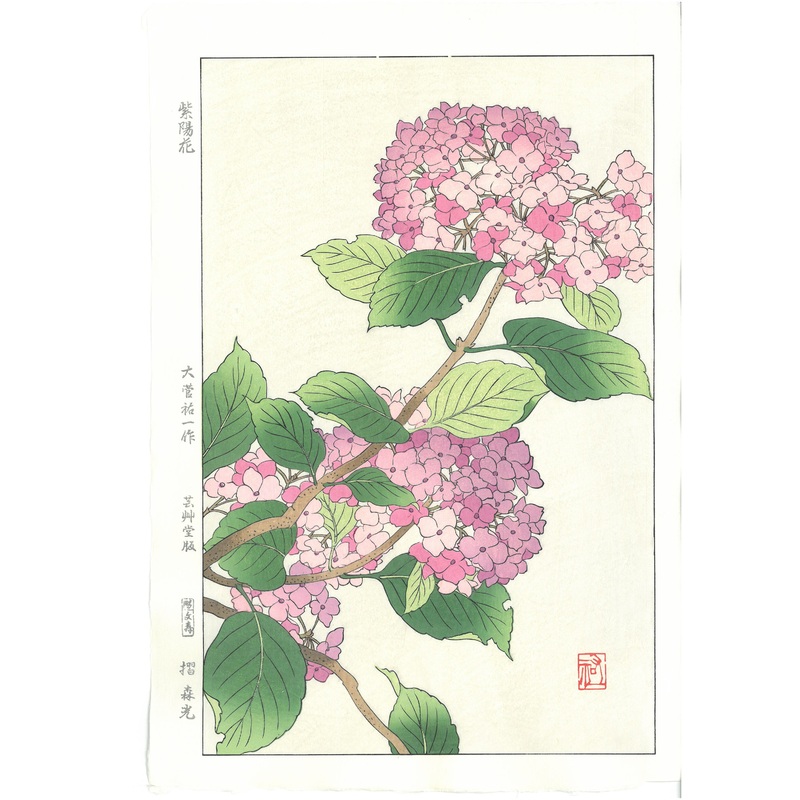 Osuga Yuichi – F178 Ajisai  (Hydrangea) – Free Shipping