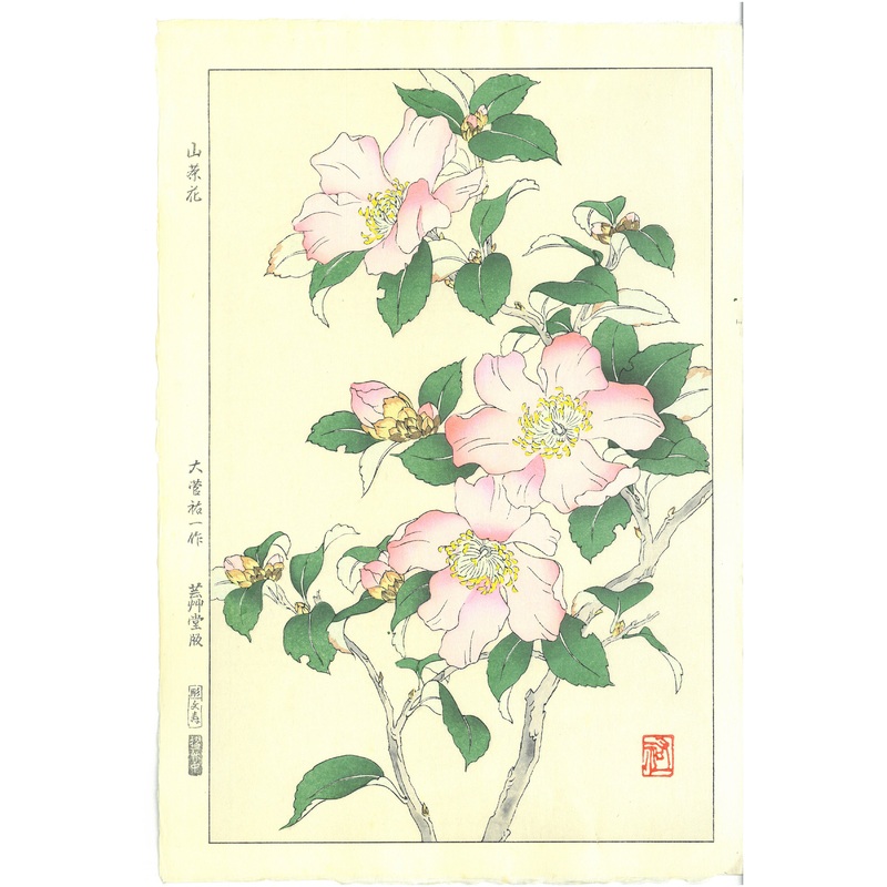 Osuga Yuichi – Sazanka  (Camellia) – Free Shipping