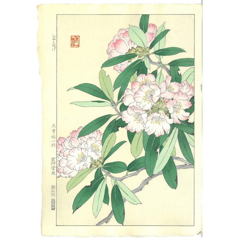 Osuga Yuichi – Shakunage  (Rhododendron) – Free Shipping