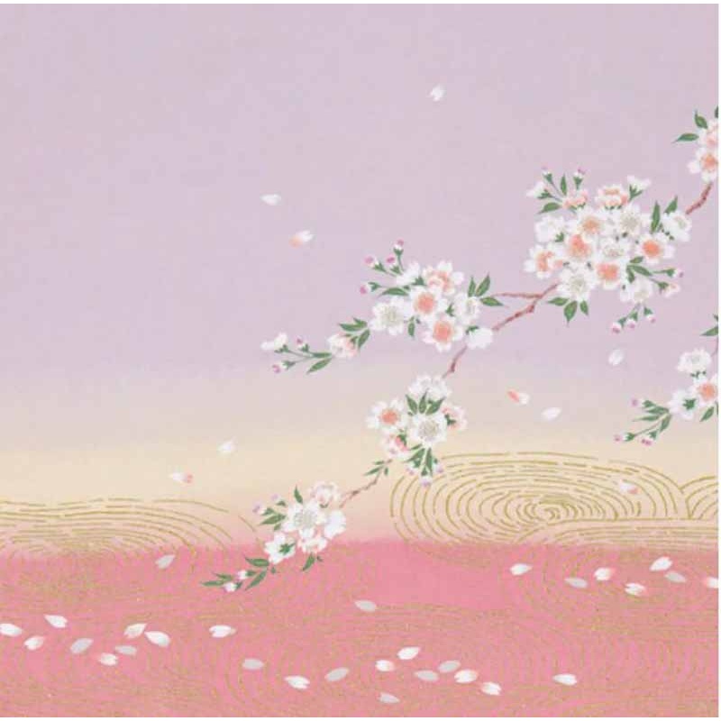 Chirimen Yusen Furoshiki 100% silk  – Cherry blossoms on Kanze-sui    – Furoshiki (Japanese Wrapping Cloth)45 x 45 cm