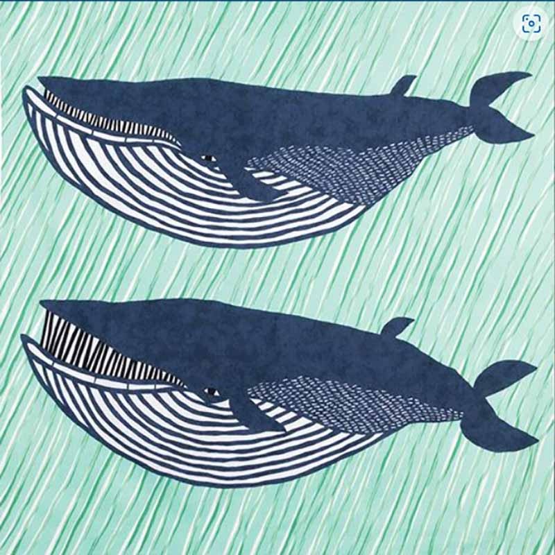 Kata Kata – Fin whale green  ( ) – Furoshiki   100 x 100 cm