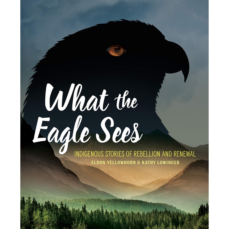 What the Eagle Sees: Indigenous Stories of Rebellion and Renewal