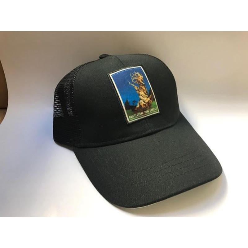 Bristlecone Hat