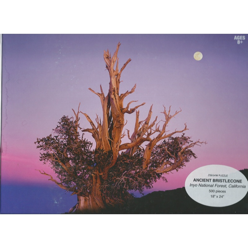 Bristlecone Puzzle
