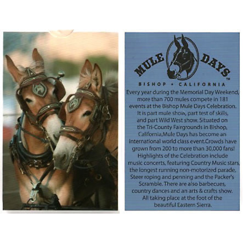 Mule Days Playing Cards