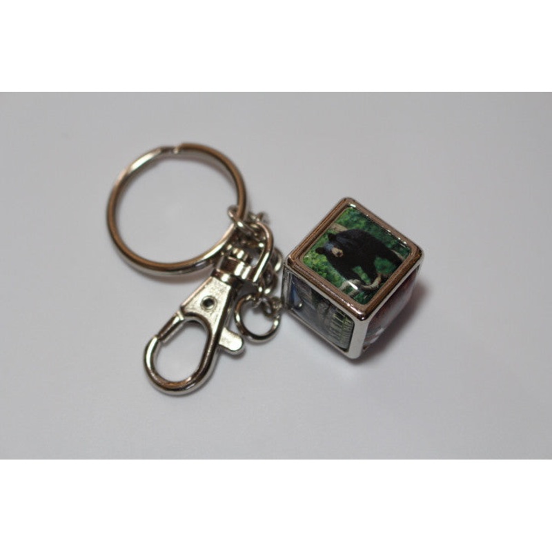 Yosemite Cube Keychain