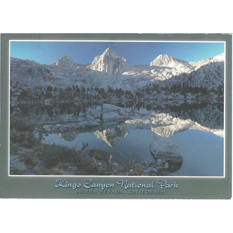 5X7 Kings Canyon Park Winter Postcard-QTY=50