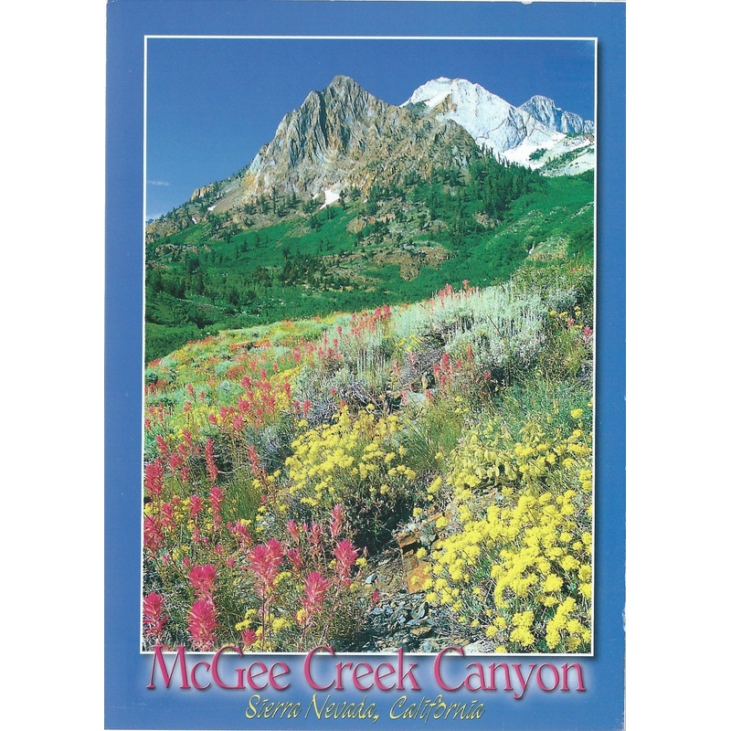 5X7 McGee Creek Canyon Postcard-QTY=50