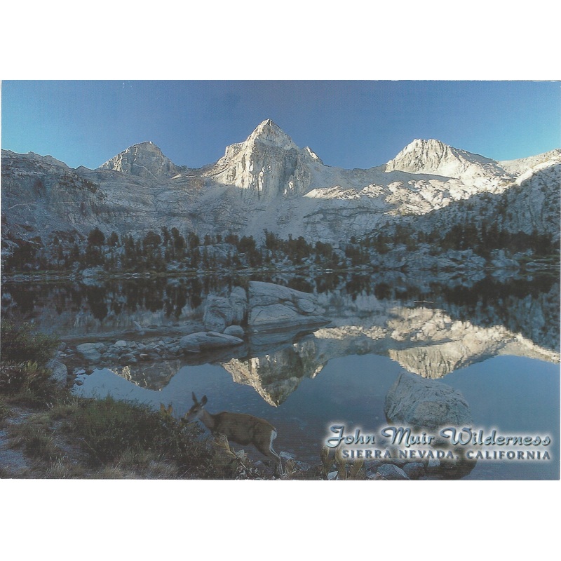 5X7 Sierra Mountain Peak Postcard-QTY=50