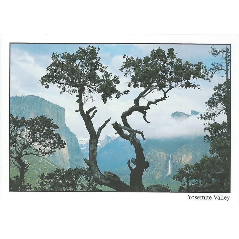 5X7 Yosemite Valley Postcard-QTY=50