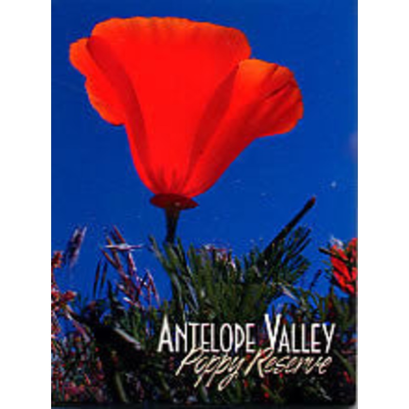 Antelope Valley Poppy Reserve Magnet-QTY=12
