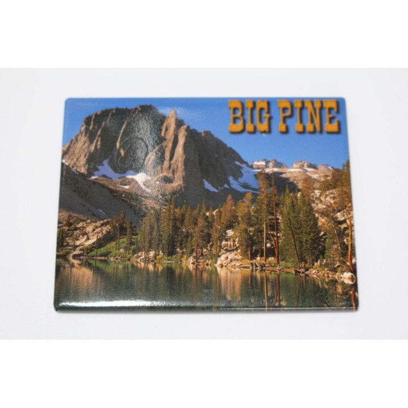 Big Pine Magnet-QTY=10