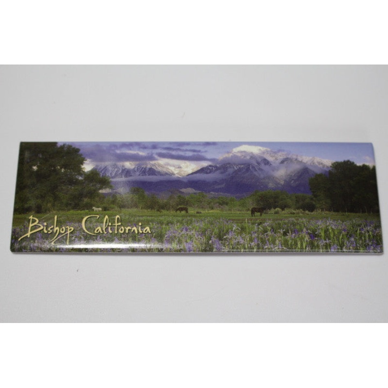 Bishop California Magnet-QTY=10