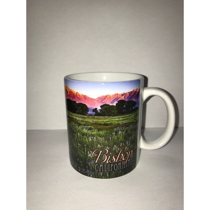 Bishop California Mug