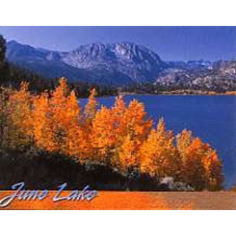 June Lake Trees Magnet-QTY=10