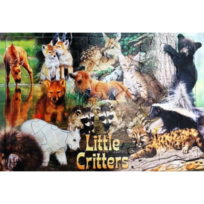 Little Critter Kids Puzzle
