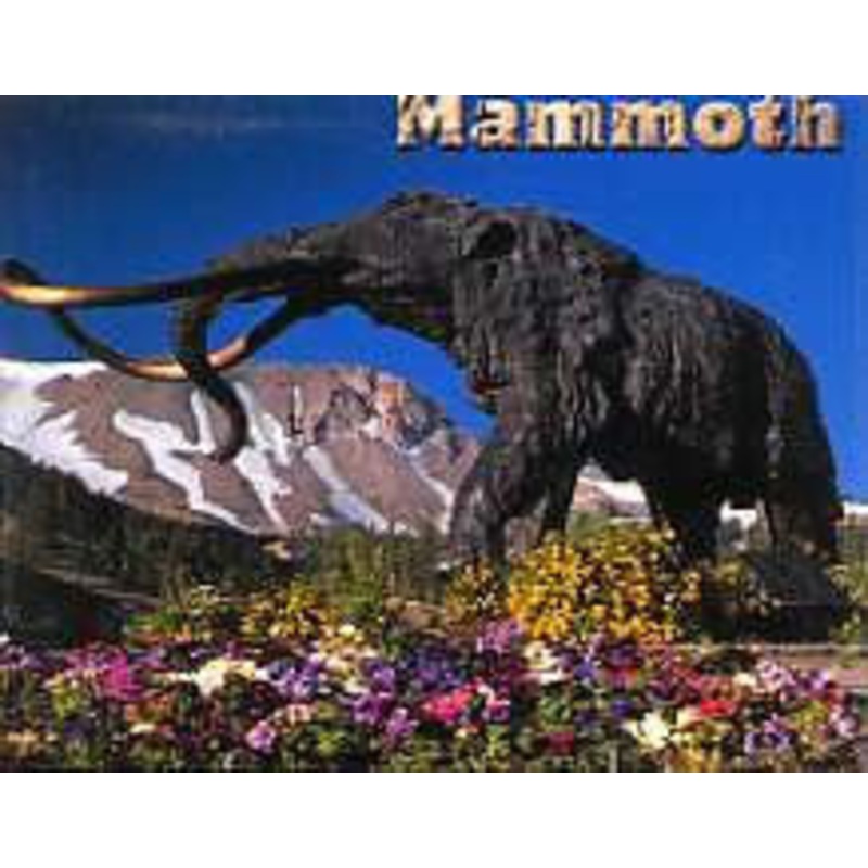 Mammoth Flowers Magnet-QTY=10