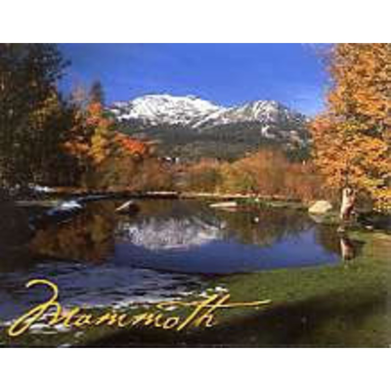 Mammoth Lakes Summer Magnet-QTY=10