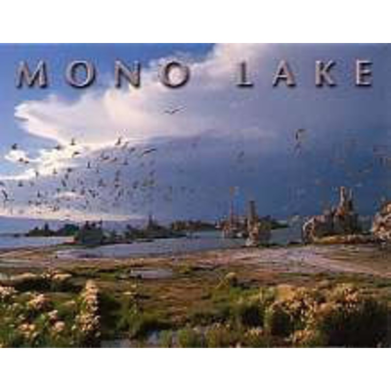 Mono Lake Cloudy Magnet-QTY=10