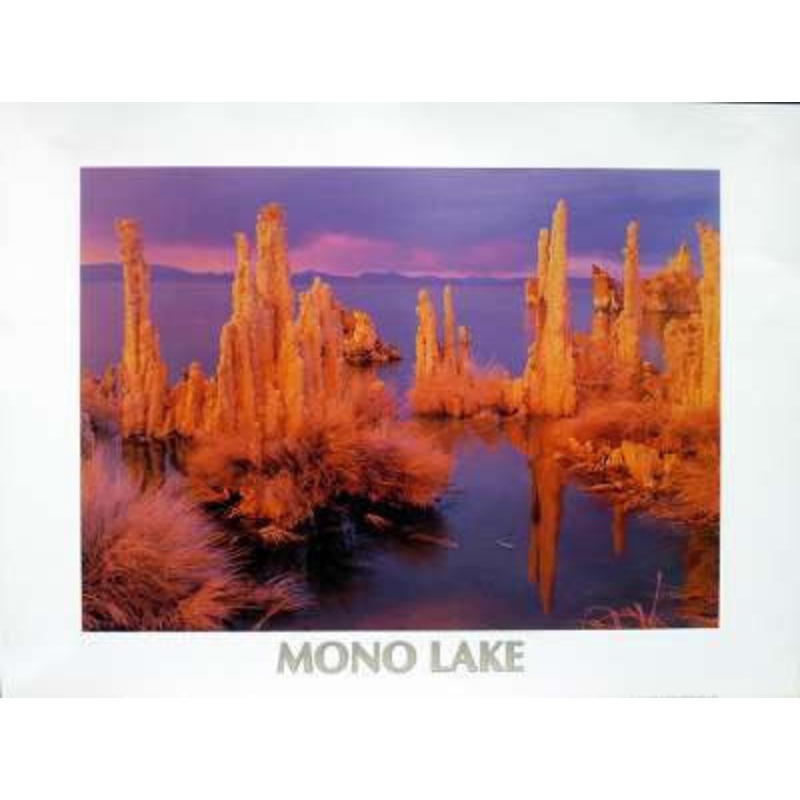 Mono Lake Poster