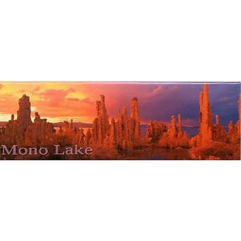 Mono Lake Tufa Magnet-QTY=10