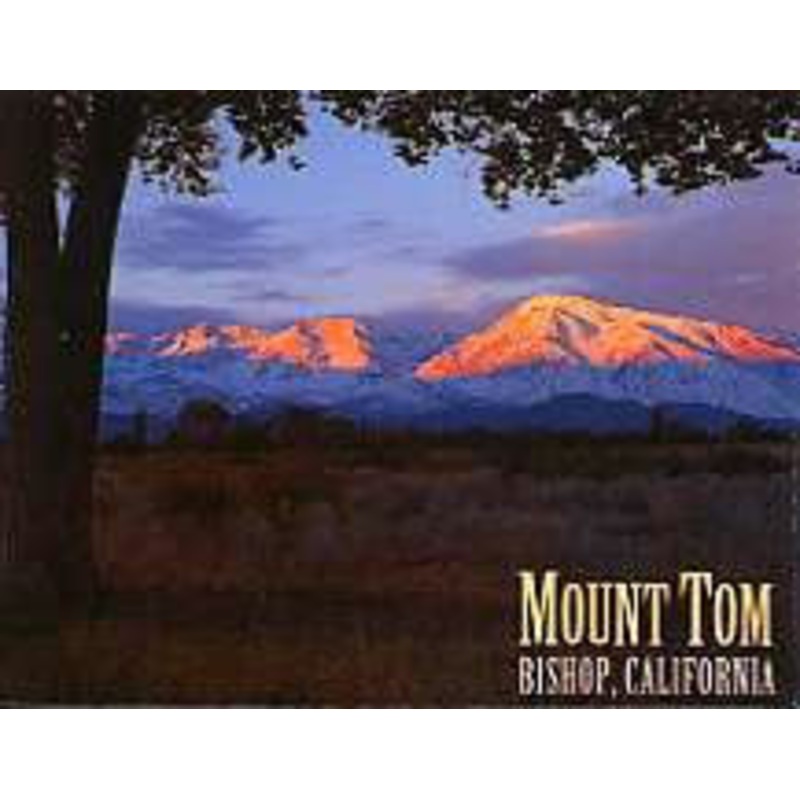 Mount Tom Bishop Magnet-QTY=10