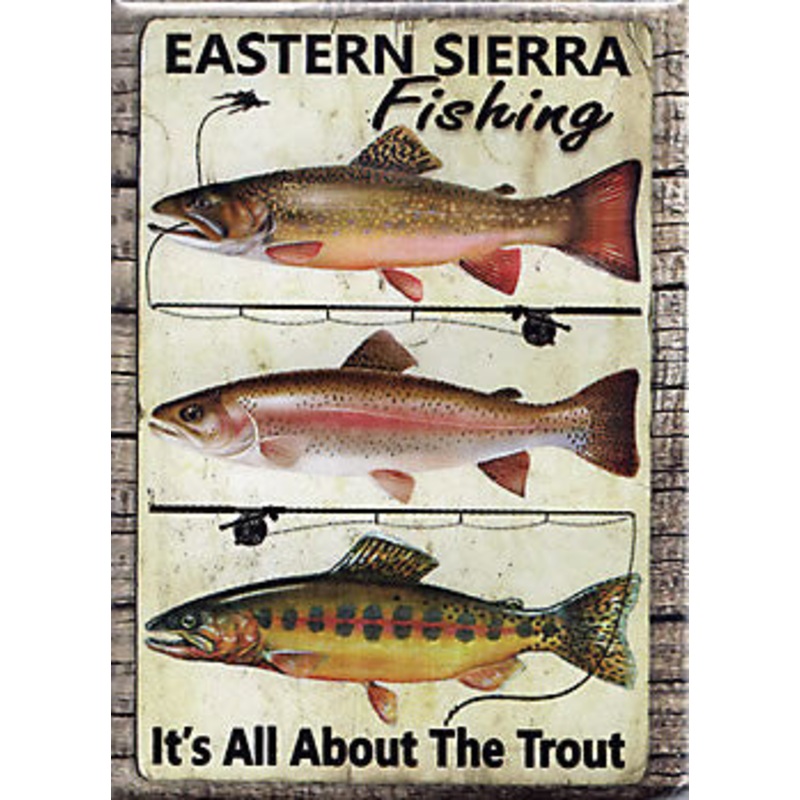 Trout Trio Magnet – QTY Pack of 12-QTY=12