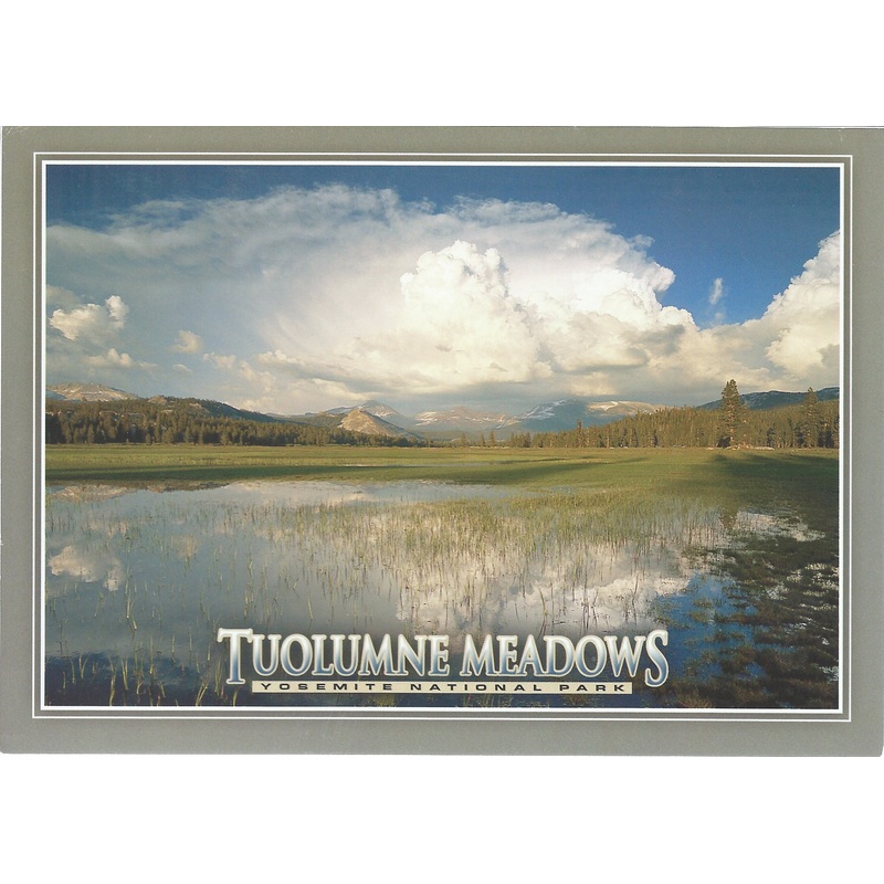 5X7 Tuolumne Meadows Postcard-QTY=50