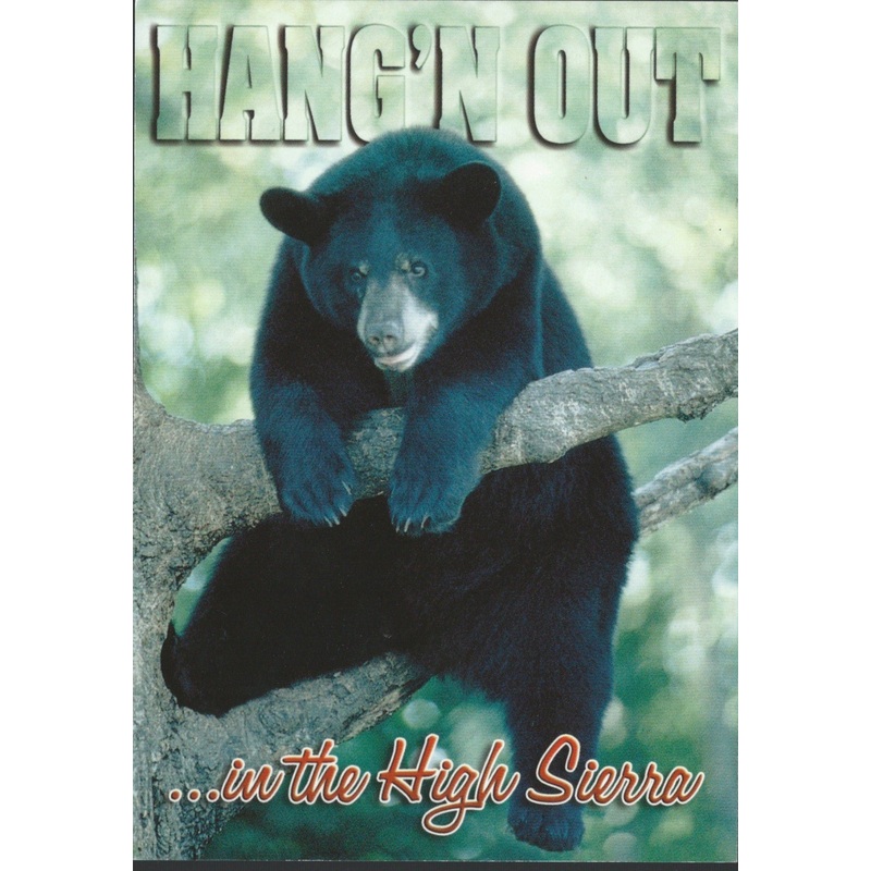 Bear Hangin Out Postcard-QTY=50