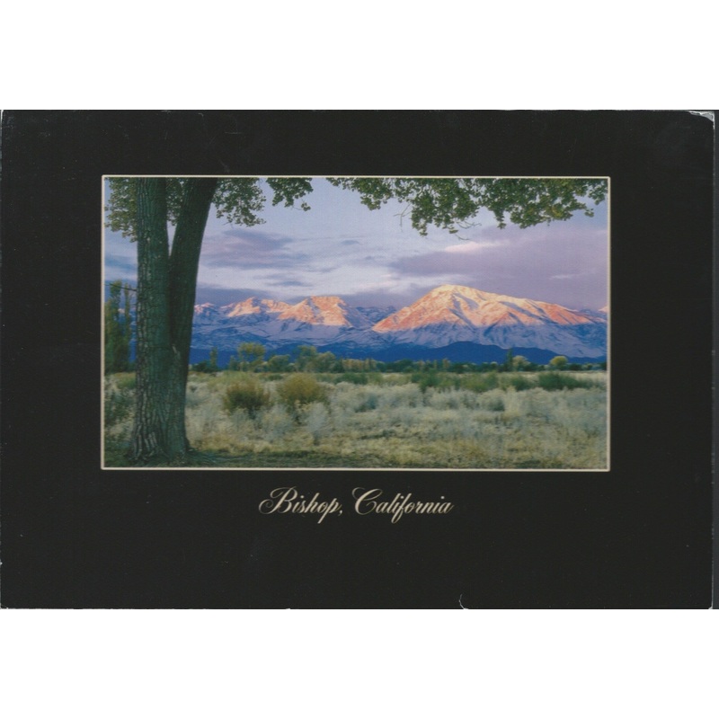 Bishop California Postcard-QTY=50