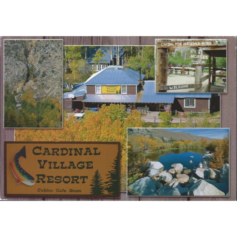 Bishop Cardinal Village Resort Postcard-QTY=50
