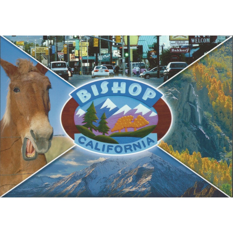 Bishop Collage Postcard-QTY=50
