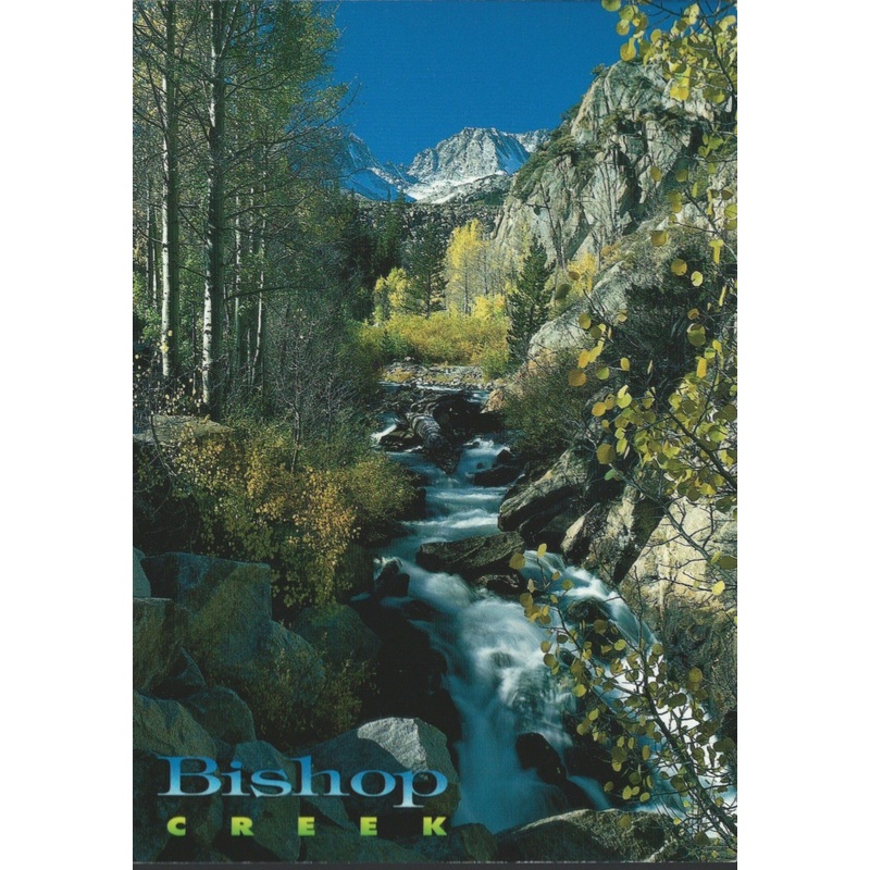 Bishop Creek Stream Postcard-QTY=50