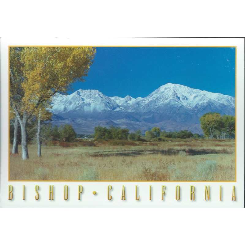 Bishop Mountain Range Postcard-QTY=50