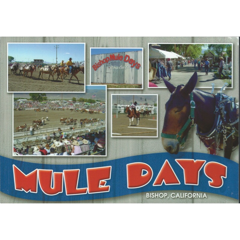 Bishop Mule Days Fair Postcard-QTY=50