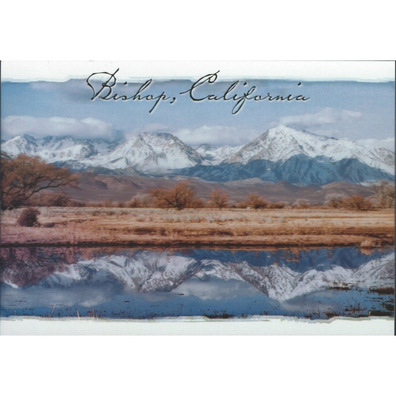 Bishop Reflection Postcard-QTY=50