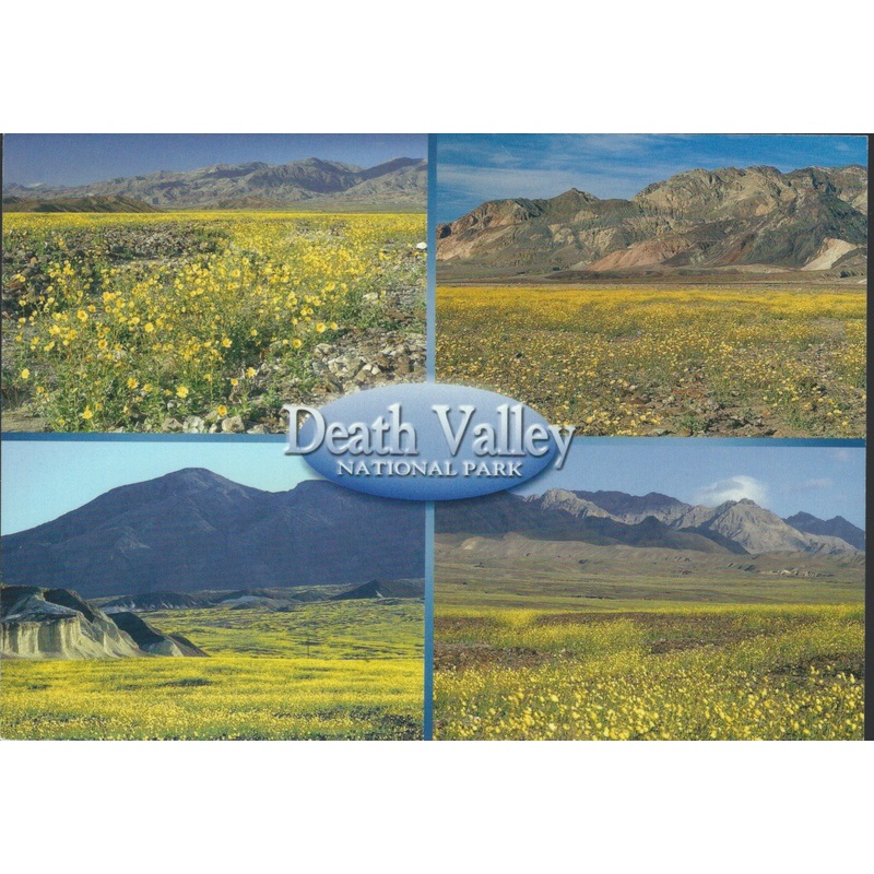 Death Valley Flowers Postcard-QTY=50