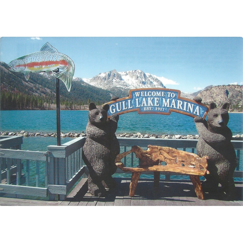 Gull Lake Bears Postcard-QTY=50